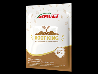 ROOT KING